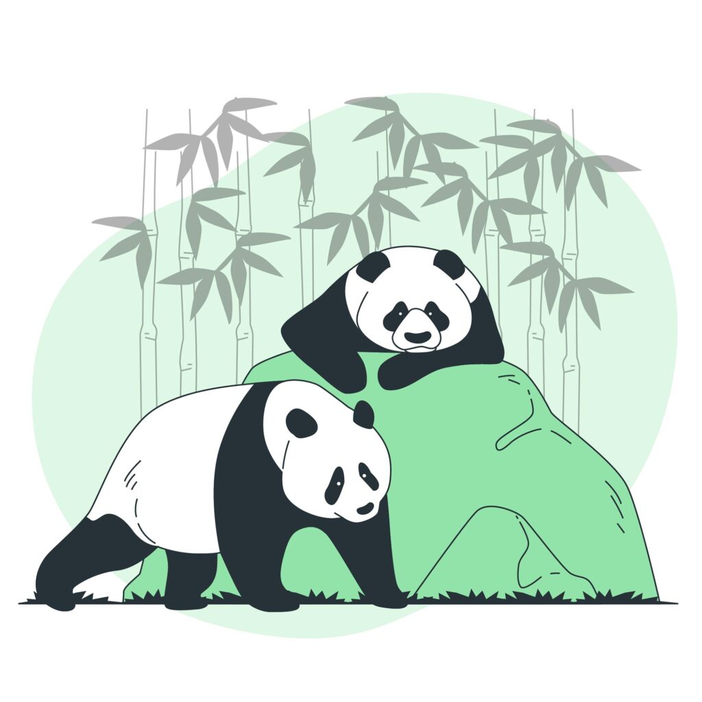 الگوریتم گوگل panda